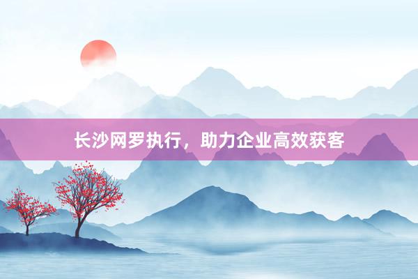 长沙网罗执行，助力企业高效获客
