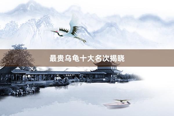 最贵乌龟十大名次揭晓